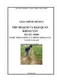 Giáo trình Thu hoạch và bảo quản khoai tây - MĐ06: Nhân giống và trồng khoai tây
