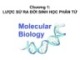 Bài giảng Sinh học phân tử - Chương 1: Lược sử ra đời của sinh học phân tử